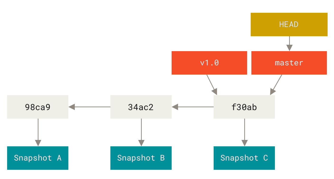 A branch and its commit history.